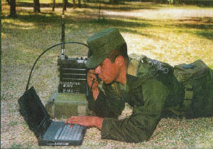 traca-1.jpg